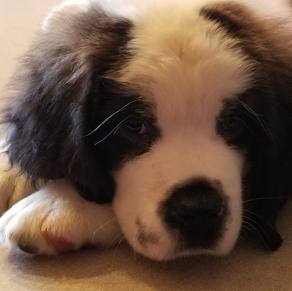 kthcaboose